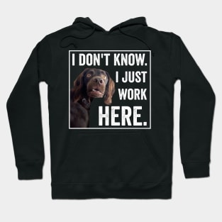 I Dont Know I Just Work Here Funny Confused Dog Meme Hoodie